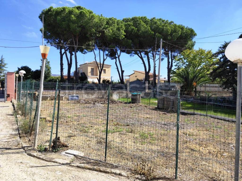 immagine annuncio 10 di 11