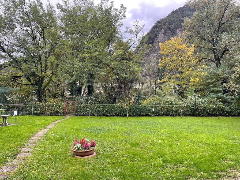 immagine annuncio 9 di 12