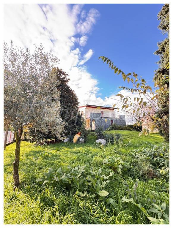 immagine annuncio 10 di 11
