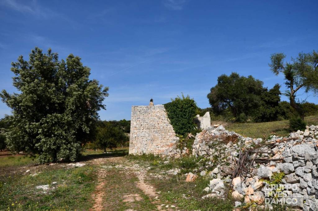 immagine annuncio 2 di 11
