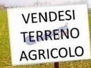 Terreno agricolo in vendita a città di castello 