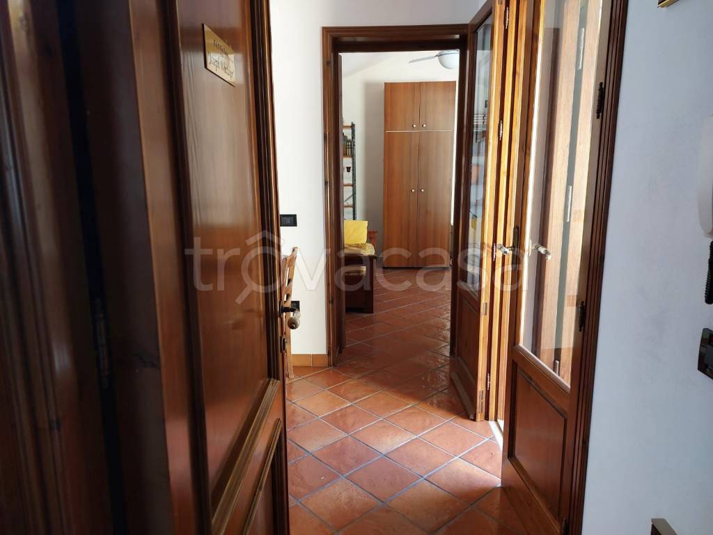 immagine annuncio 4 di 7