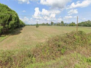 Terreno agricolo in vendita a pisa strada statale aurelia