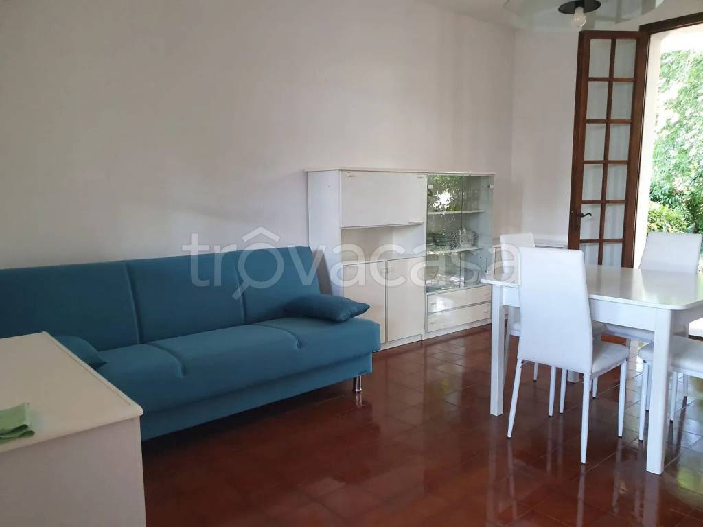 immagine annuncio 11 di 14