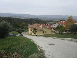 Terreno agricolo in vendita a san pietro in guarano via san bruno