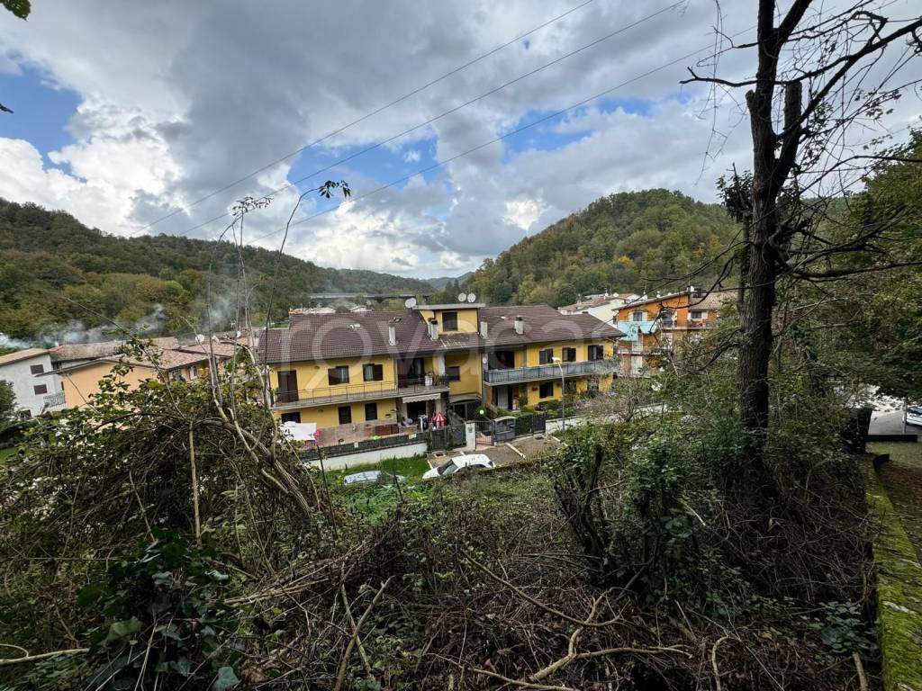 immagine annuncio 4 di 14