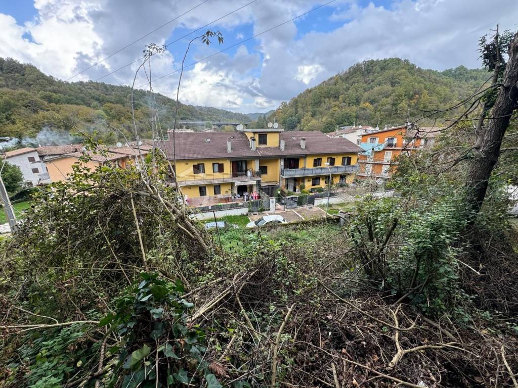 immagine annuncio 5 di 14
