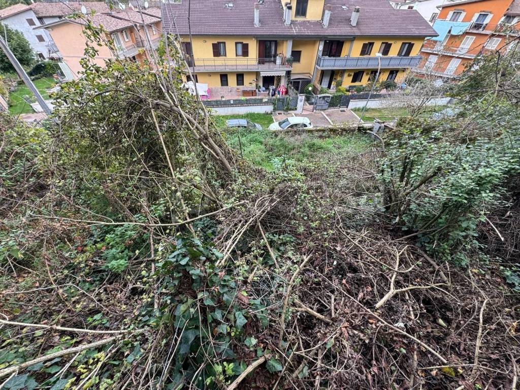 immagine annuncio 6 di 14