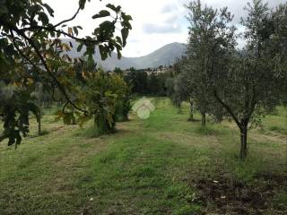 Terreno agricolo in vendita a sant'agata de' goti contrada san paolo