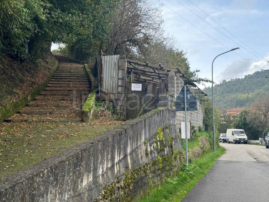 immagine annuncio 9 di 14