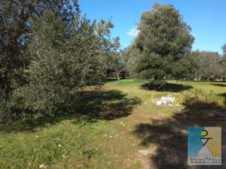 Terreno agricolo in vendita a carovigno contrada belvedere