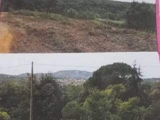 Terreno agricolo in vendita a oriolo romano strada di monte raschio