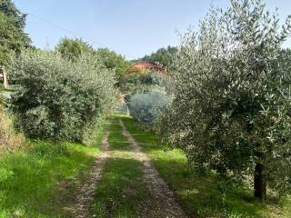 Terreno residenziale in vendita a citerna strada comunale della stazione, snc