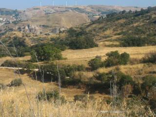 Terreno agricolo in vendita a marineo sr131