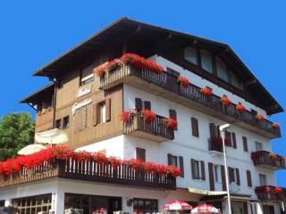 Hotel in in vendita da privato a pieve di cadore via giosuè carducci, 20