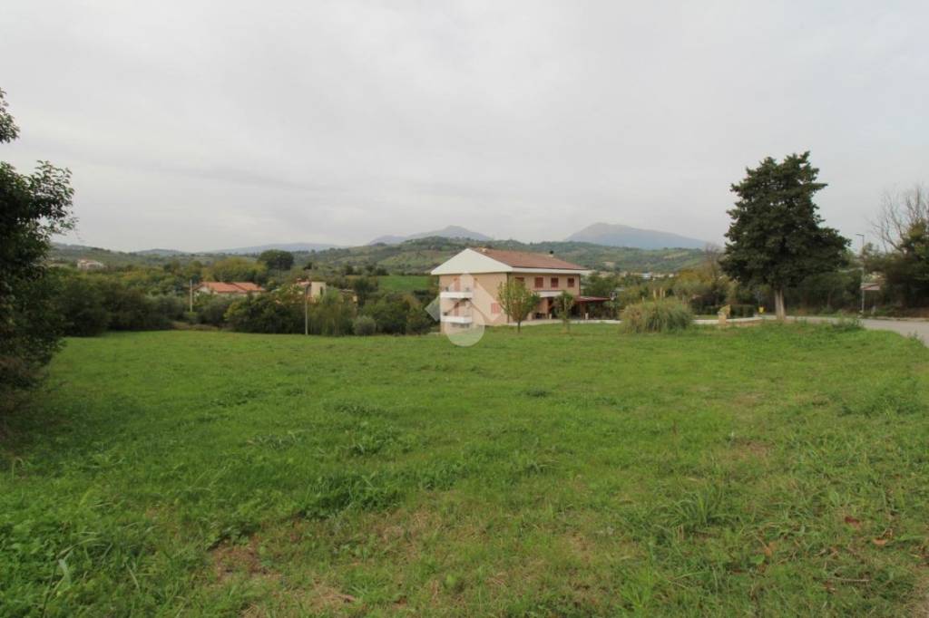 immagine annuncio 8 di 13