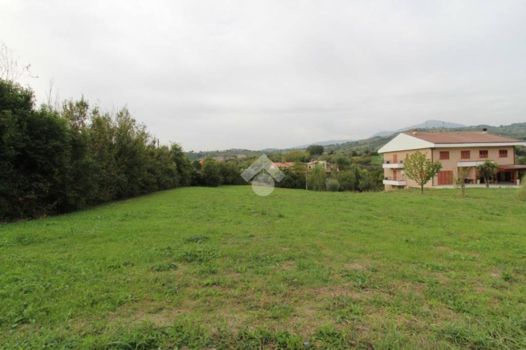 immagine annuncio 9 di 13