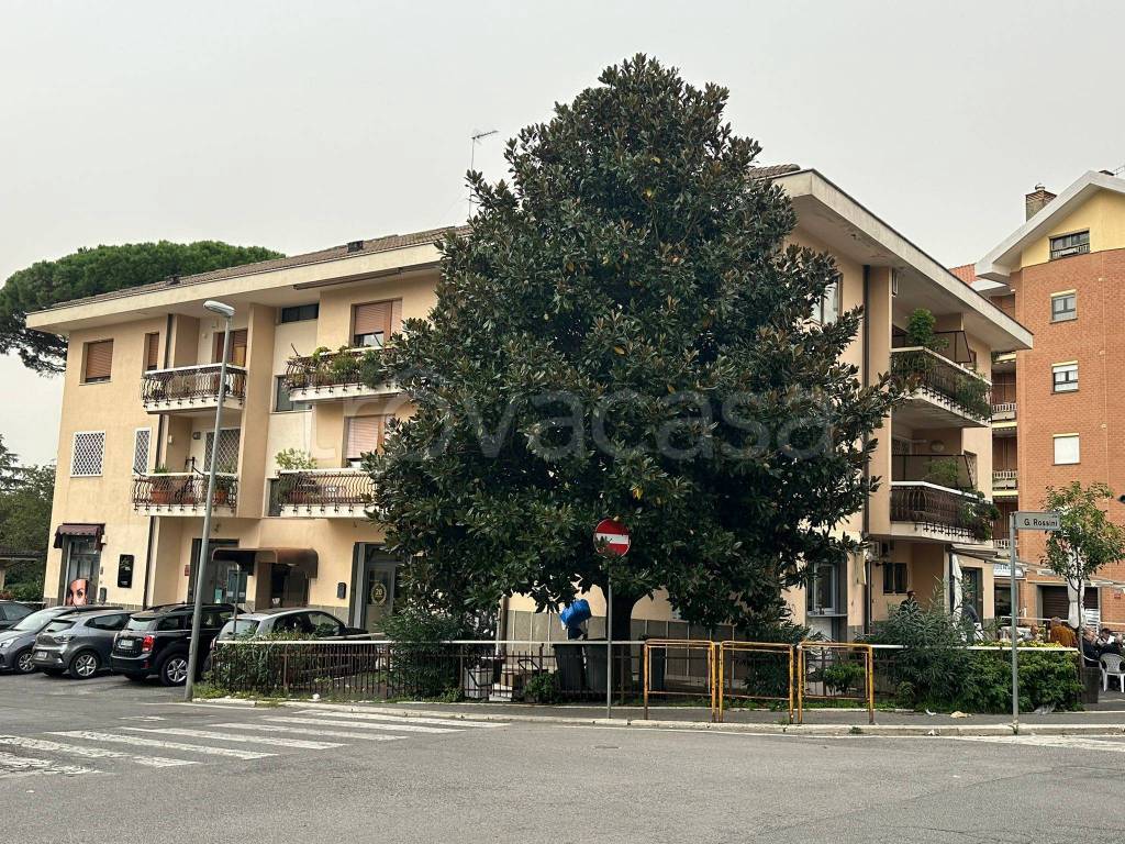 immagine annuncio 5 di 15