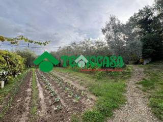 Terreno agricolo in vendita a calenzano via delle ginestre