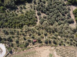 Terreno agricolo in vendita a cervo strada morene