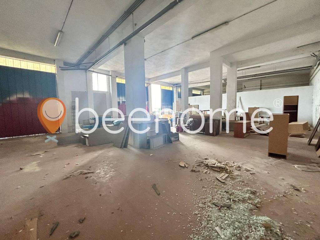 immagine annuncio 3 di 14