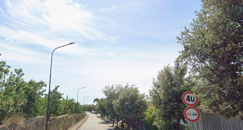 immagine annuncio 3 di 6