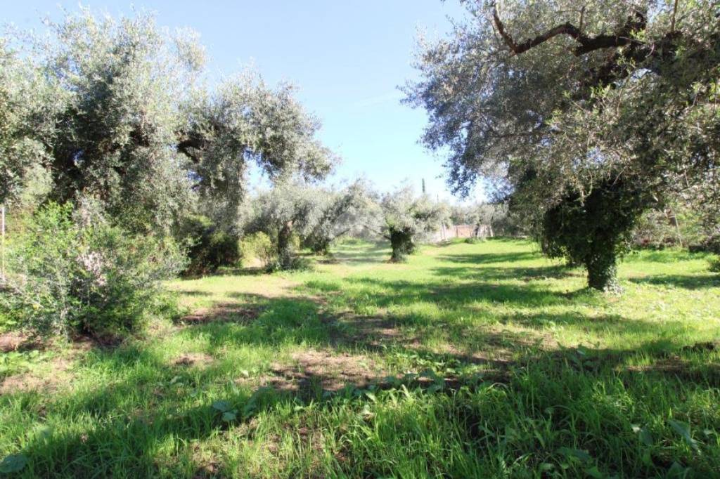immagine annuncio 2 di 11