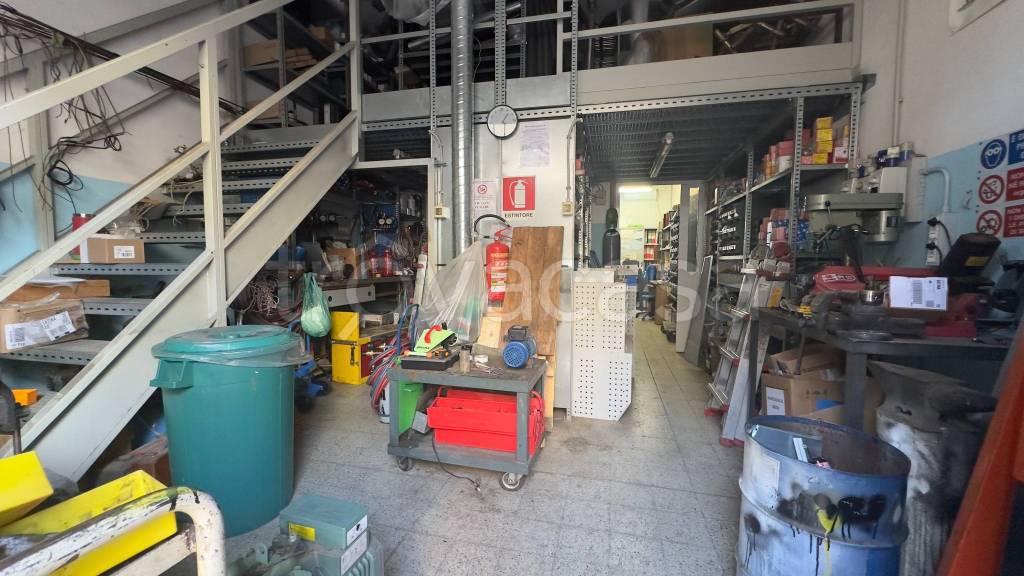 immagine annuncio 1 di 11