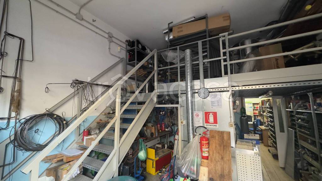 immagine annuncio 4 di 11