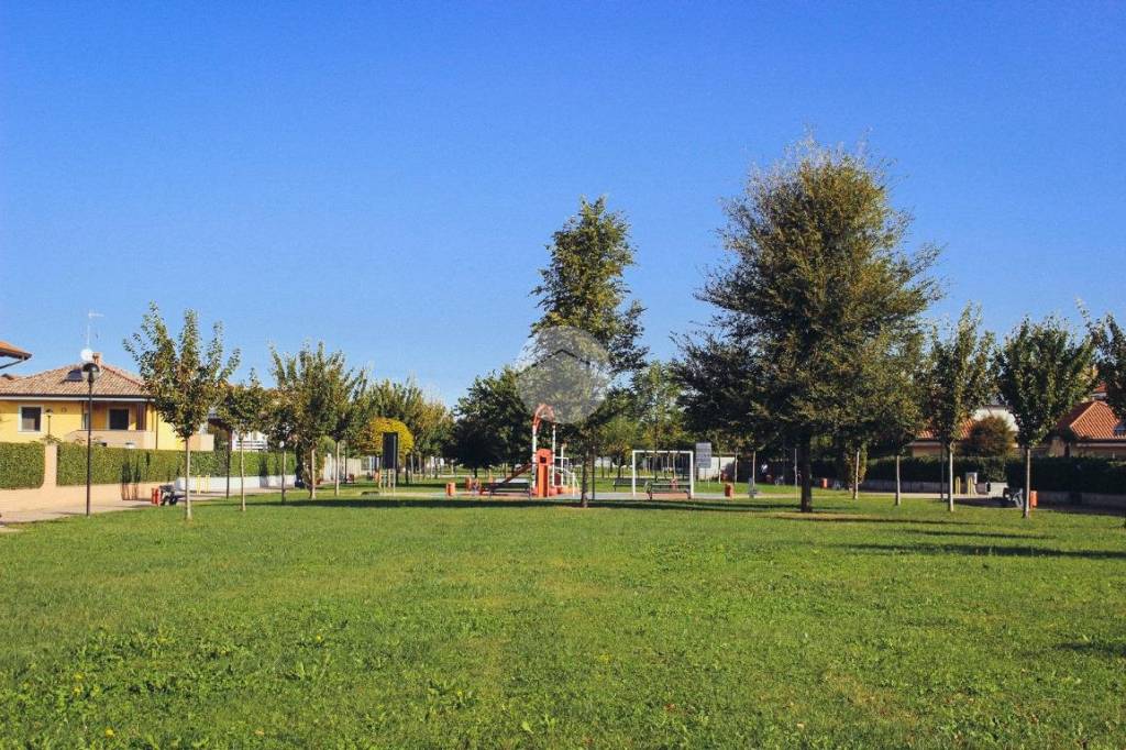 immagine annuncio 3 di 6