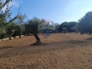 Terreno agricolo in vendita a palazzolo acreide contrada zelmo