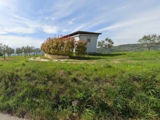 Terreno agricolo in vendita ad apice contrada calvano