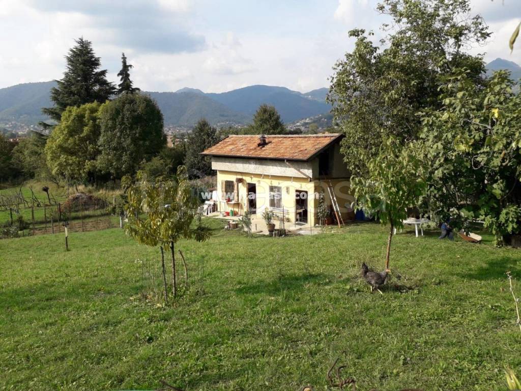 immagine annuncio 2 di 7