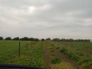 Terreno agricolo in vendita a viterbo strada della volpara