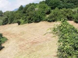 Terreno agricolo in vendita a fara vicentino via poletti snc