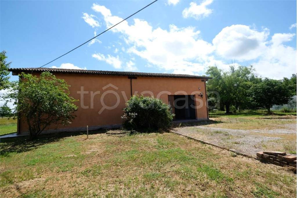 immagine annuncio 1 di 7