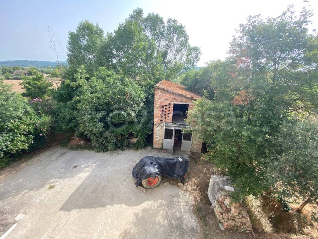 immagine annuncio 2 di 14