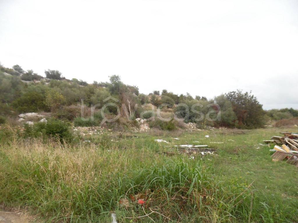 immagine annuncio 5 di 8