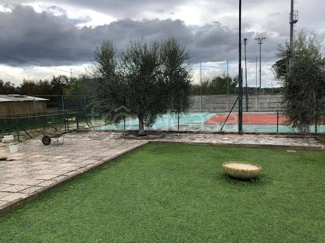 immagine annuncio 3 di 8