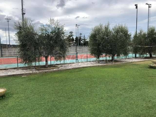 immagine annuncio 4 di 8
