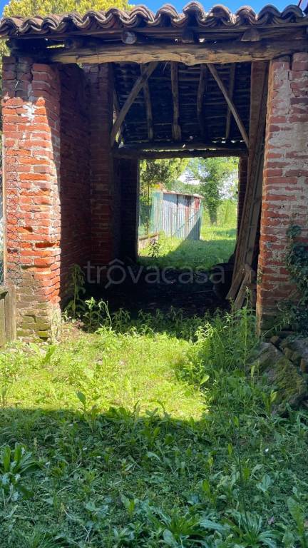 immagine annuncio 4 di 6