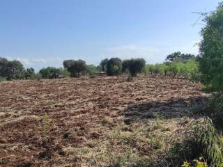 Terreno residenziale in vendita a ostuni contrada san benedetto