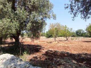 Terreno residenziale in vendita a ostuni s.p. 17 martina franca