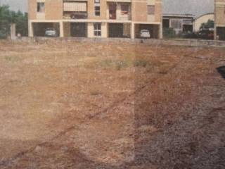 Terreno agricolo in vendita a san giorgio bigarello gabribaldi s.n.c.