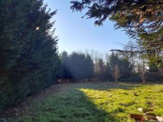 Terreno agricolo in vendita a mantova trincerone s.n.c.