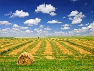 Terreno agricolo in vendita a coriano via montescudo