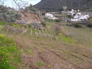 Terreno agricolo in vendita a leni strada provinciale di val di chiesa