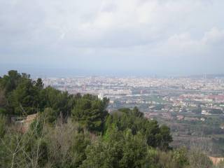 Terreno agricolo in vendita a livorno via del poggio