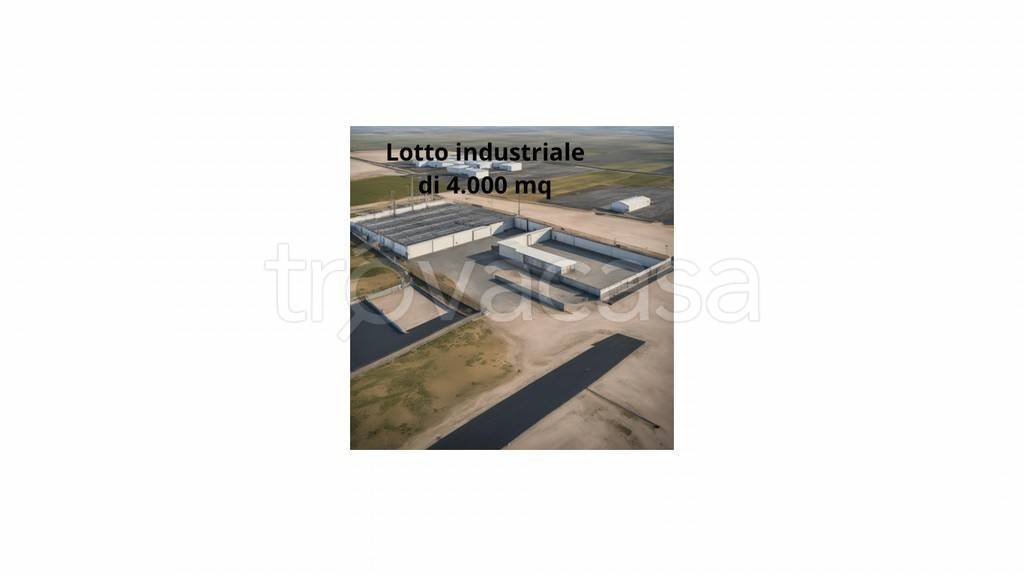 immagine annuncio 2 di 3
