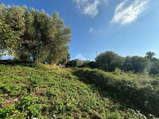 Terreno agricolo in vendita a camerota via aldo moro